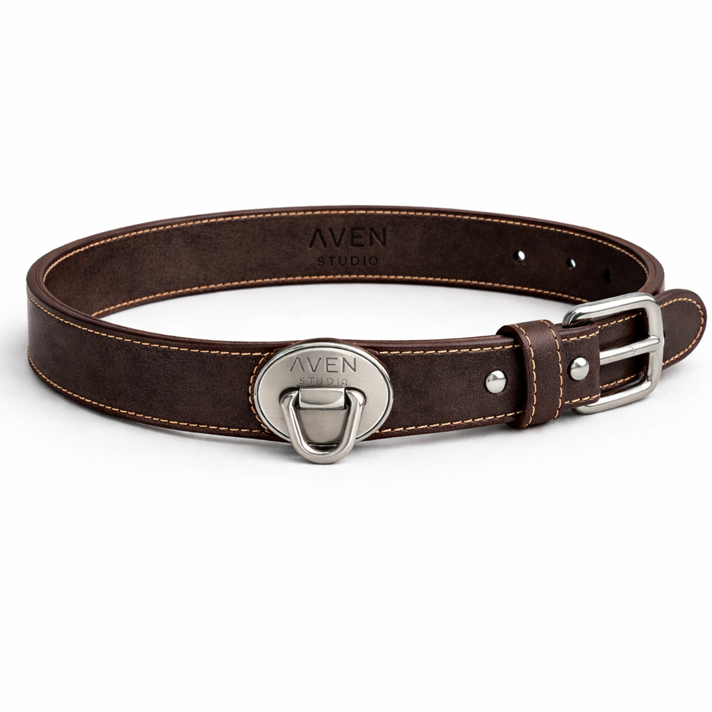 Luxury Leather Dog Collar