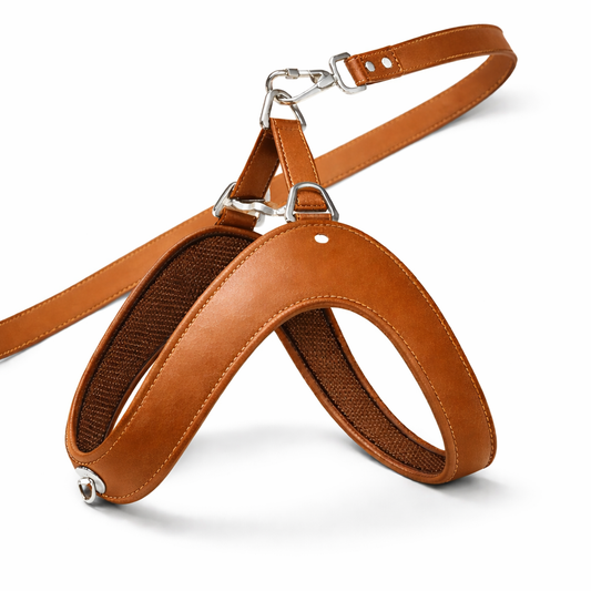 Luxury Leather Dog Harness
